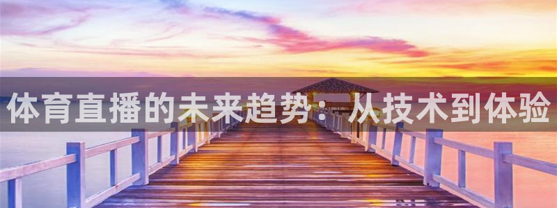 河豚在线直播nba