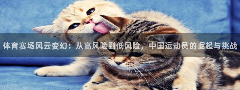 体育新闻