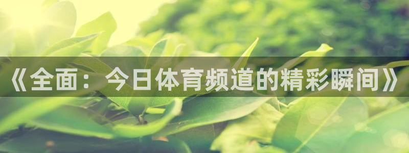 体育新闻