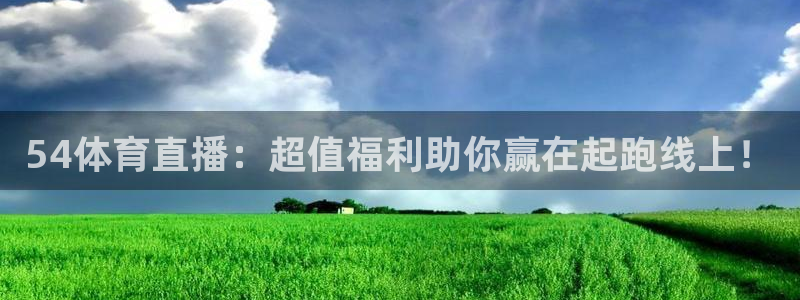 河豚体育直播网