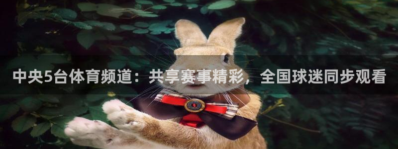 河豚在线直播nba