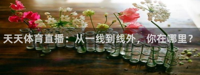 河豚足球体育直播